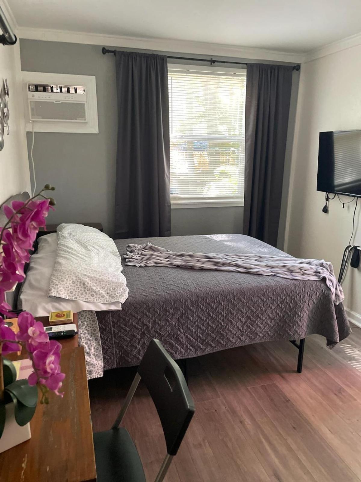 Lovely Studio Apartment With Kitchenette. Tampa Extérieur photo