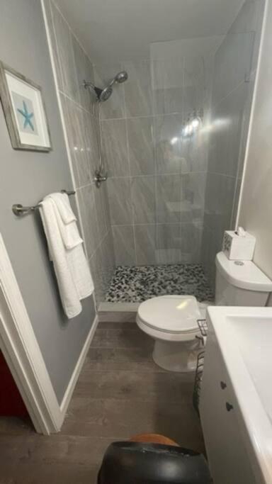 Lovely Studio Apartment With Kitchenette. Tampa Extérieur photo